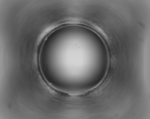 X0000110701464200906121323
