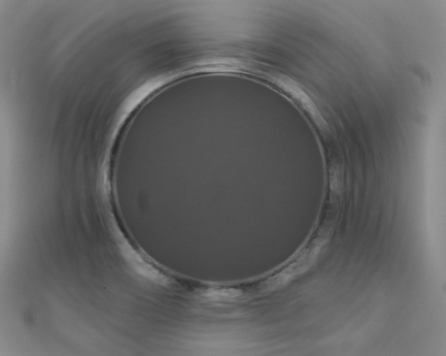 X0000110701466200906121323