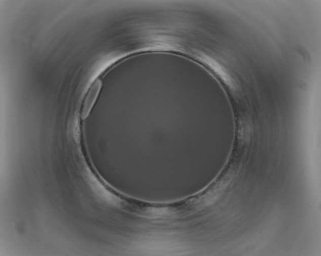 X0000110701468200906121323