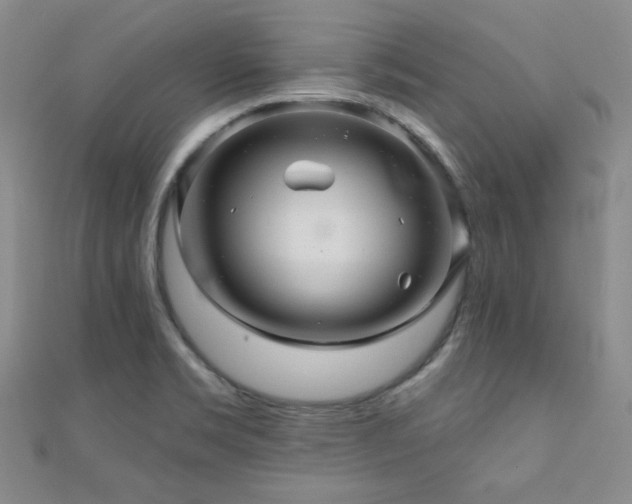 X0000110701469200906121323