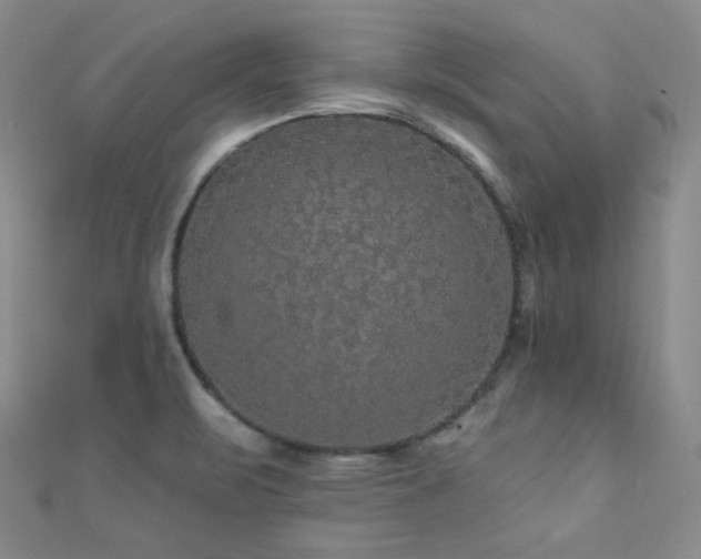 X0000110701471200906121323
