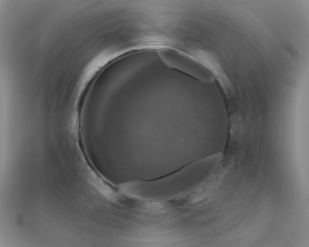 X0000110701472200906121323