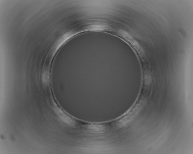 X0000110701473200906121323