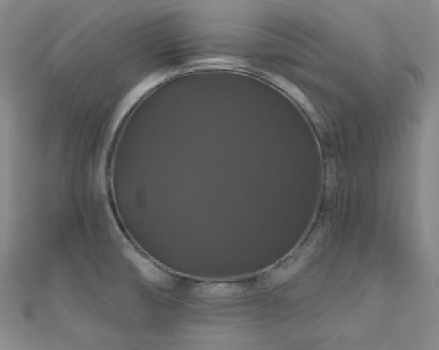 X0000110701474200906121323
