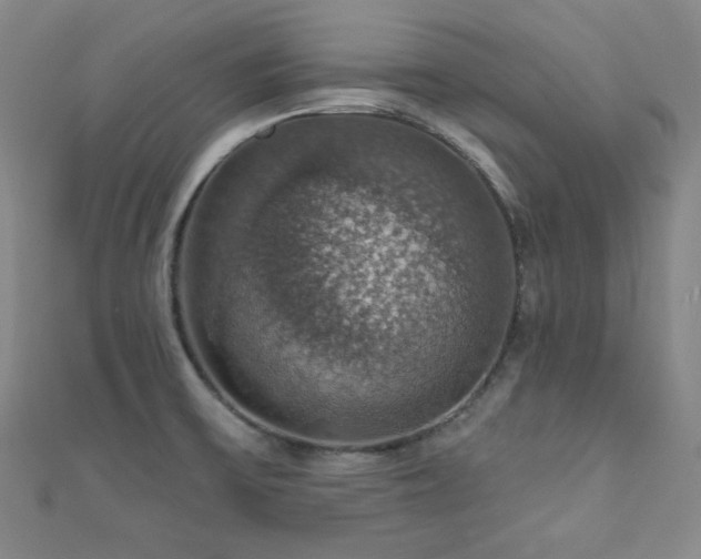 X0000110701475200906121323