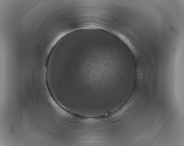 X0000110701476200906121323