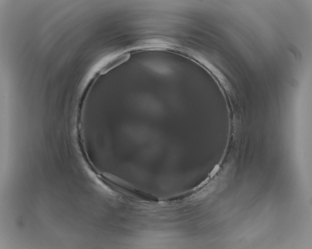 X0000110701477200906121323