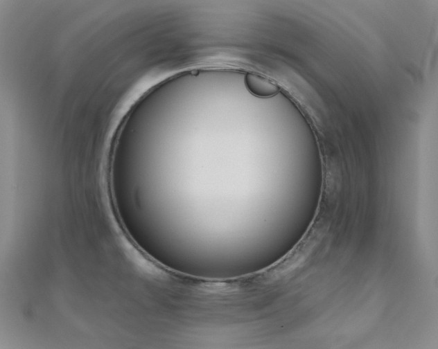 X0000110701478200906121323