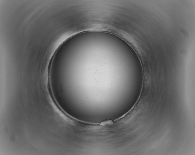 X0000110701479200906121323