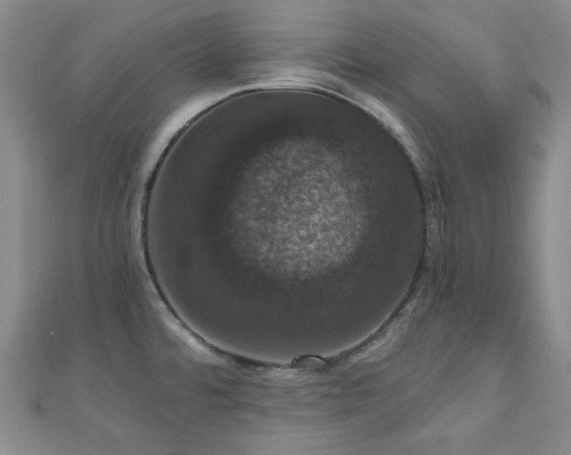 X0000110701480200906121323