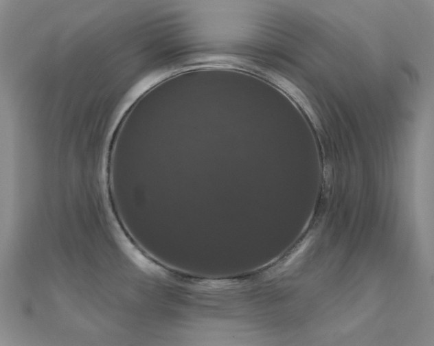 X0000110701482200906121323
