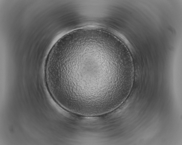 X0000110701483200906121323