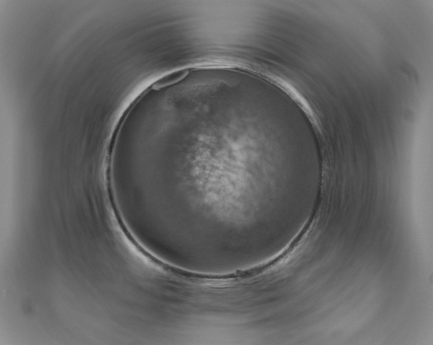 X0000110701484200906121323