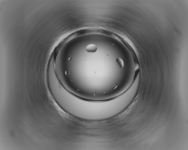 X0000110701485200906121323