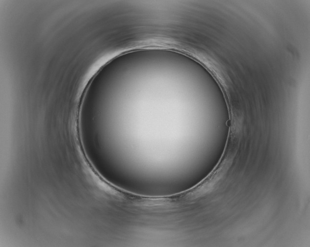 X0000110701486200906121323