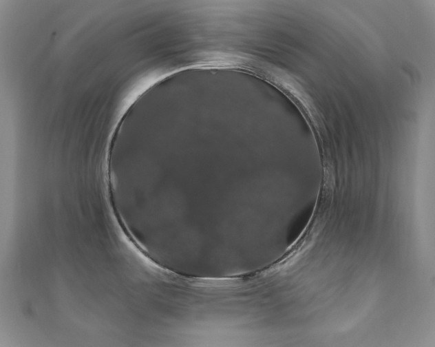 X0000110701487200906121323