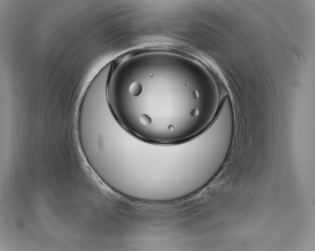 X0000110701488200906121323