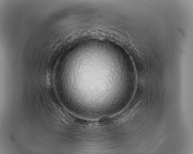 X0000110701490200906121323