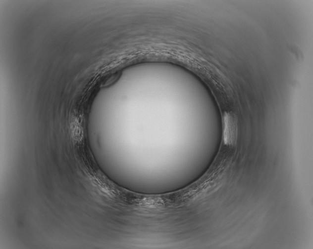 X0000110701491200906121323