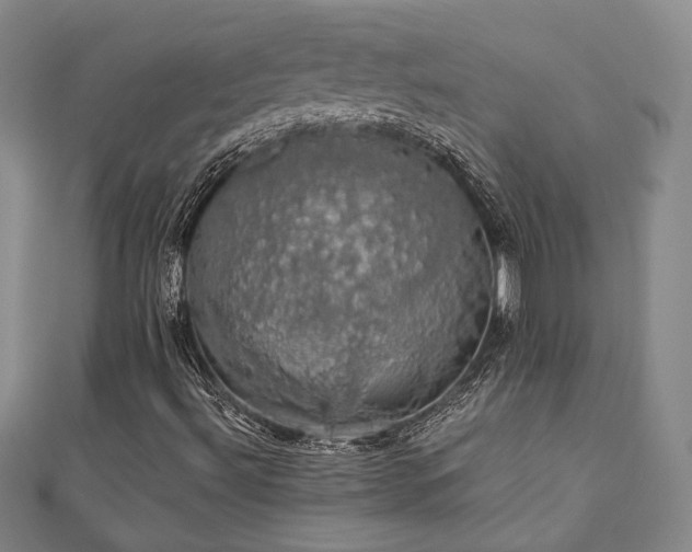 X0000110701492200906121323