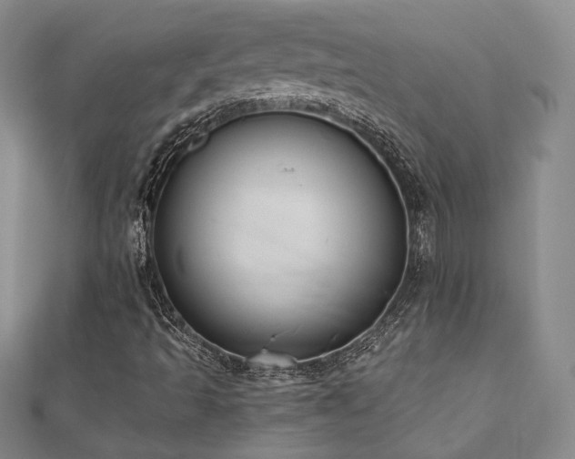 X0000110701493200906121323