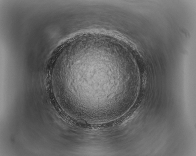 X0000110701494200906121323