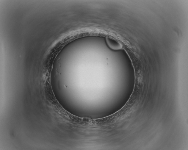X0000110701495200906121323