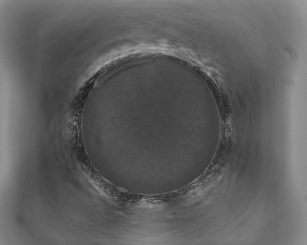 X0000110701496200906121323