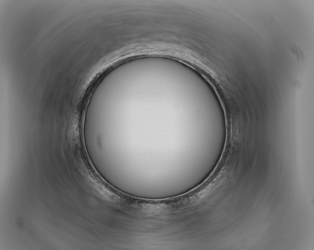 X0000110701498200906121323