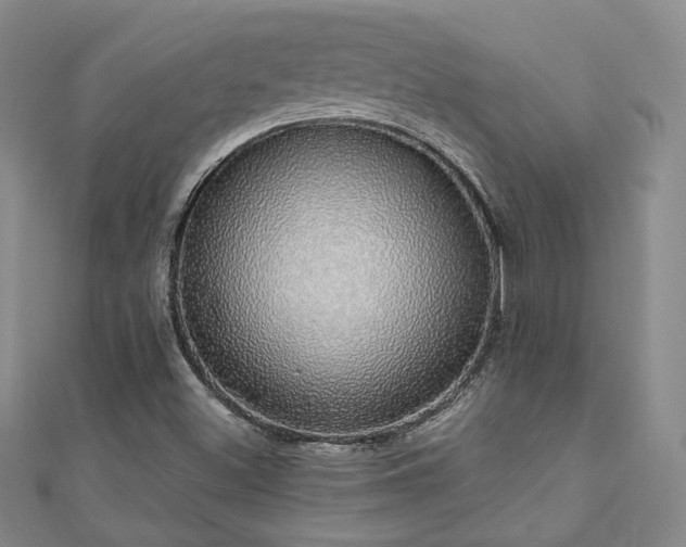 X0000110701500200906121323
