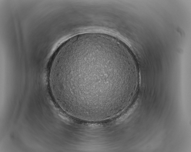 X0000110701501200906121323