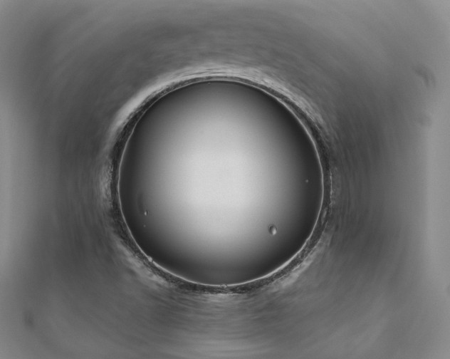 X0000110701502200906121323