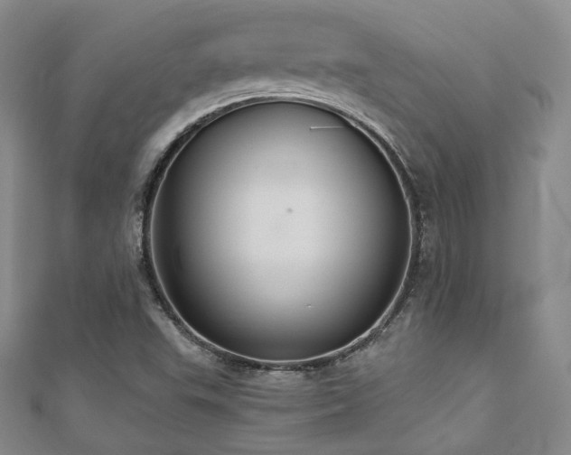 X0000110701503200906121323