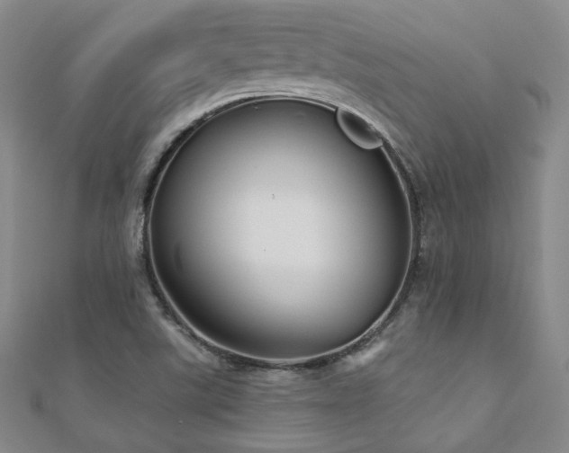 X0000110701507200906121323