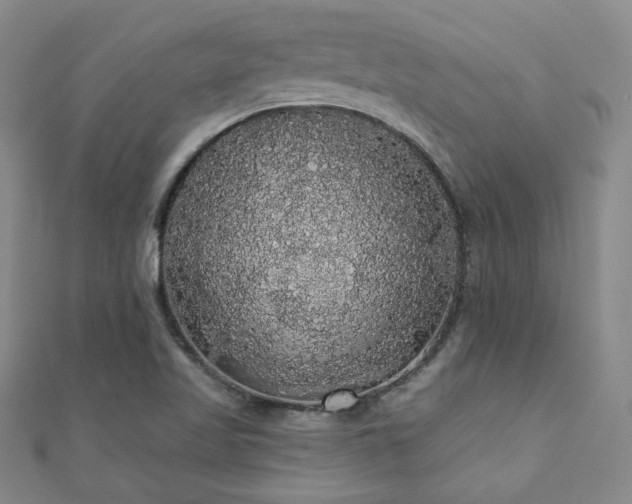 X0000110701509200906121323