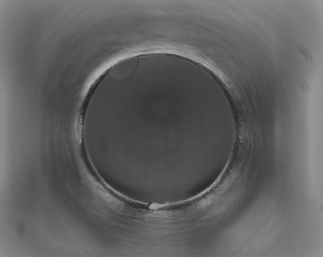 X0000110701510200906121323