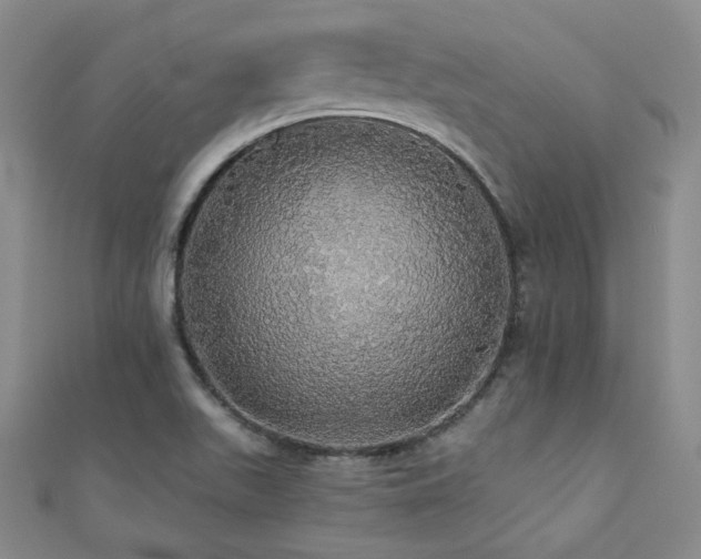 X0000110701511200906121323