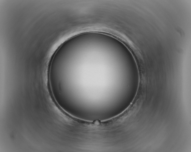 X0000110701512200906121323