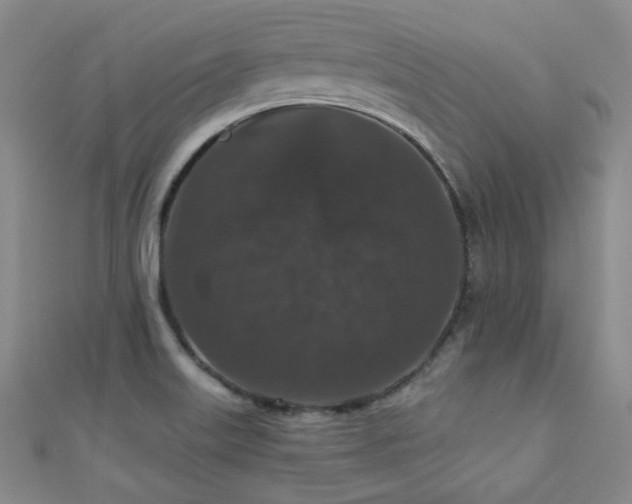 X0000110701515200906121323