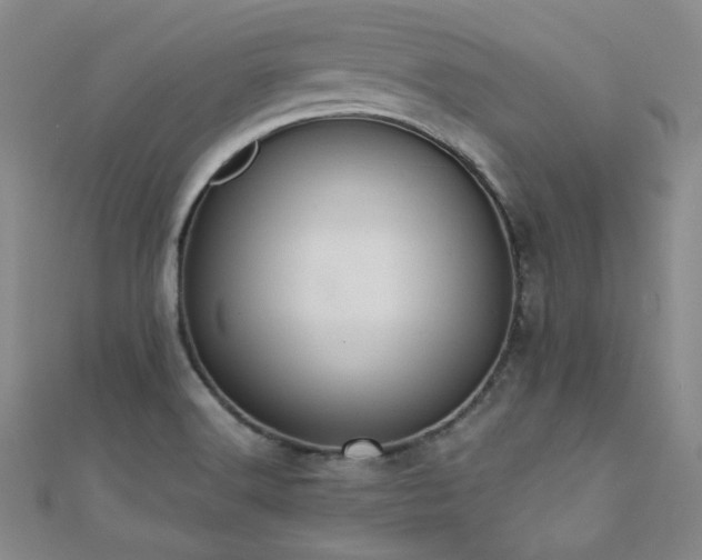 X0000110701516200906121323