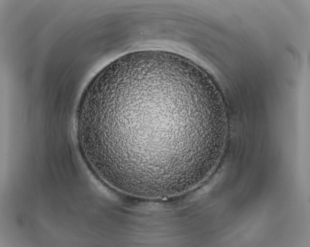 X0000110701517200906121323