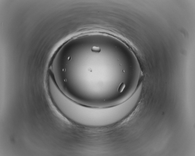 X0000110701518200906121323