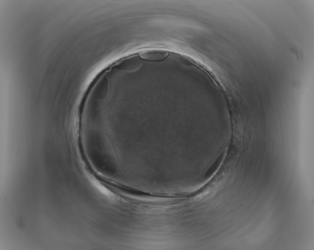 X0000110701519200906121323