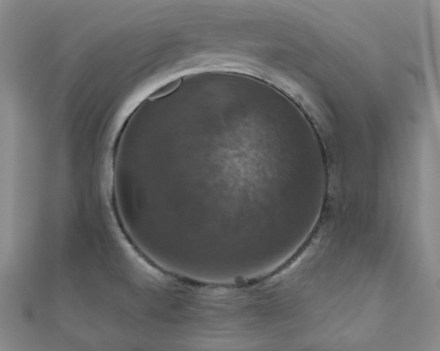 X0000110701520200906121323
