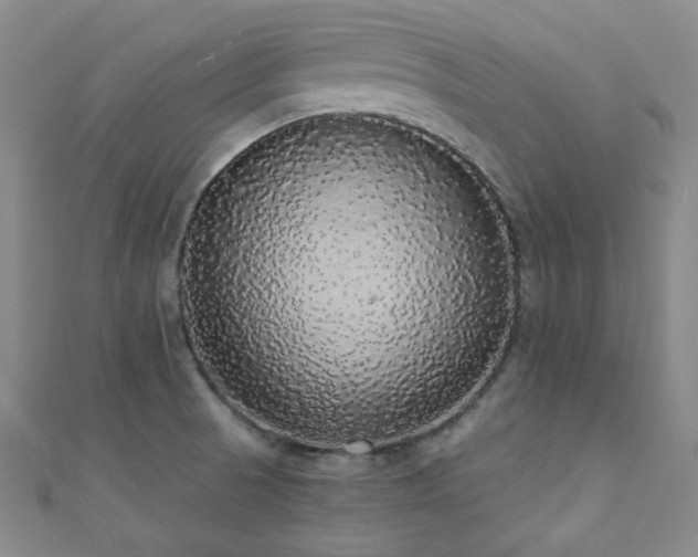 X0000110701521200906121323