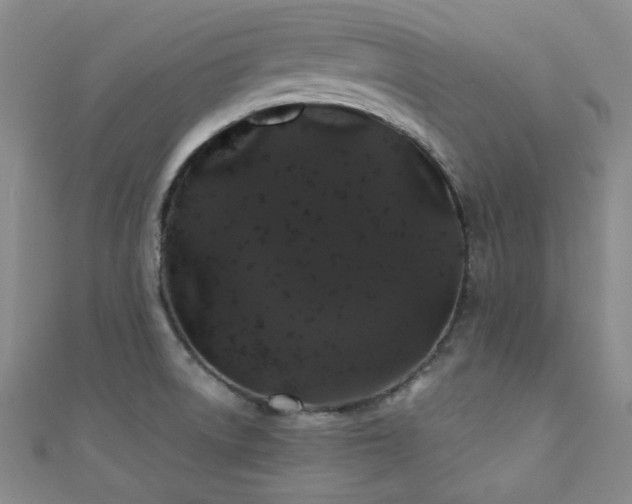 X0000110701522200906121323