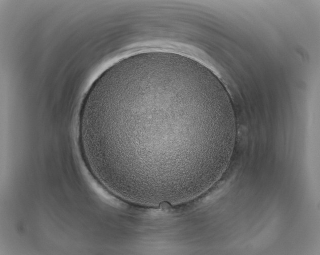 X0000110701523200906121323