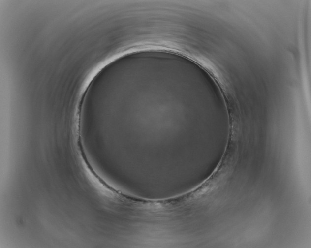 X0000110701524200906121323