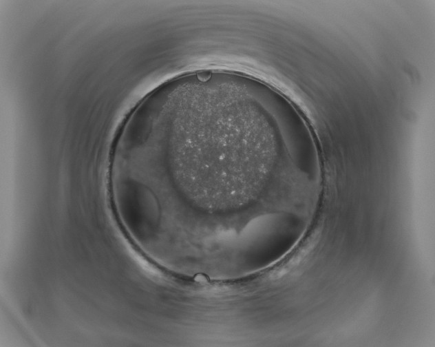 X0000110701525200906121323
