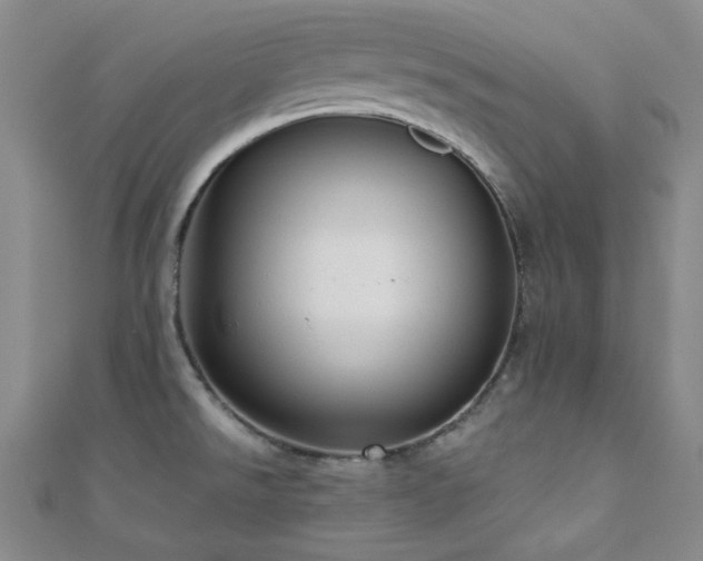 X0000110701526200906121323
